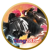 king288