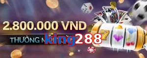 king288