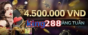 king288